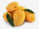 Manfaat%2Bbuah%2Bmangga%2Bbagi%2Bkesehatan.jpg