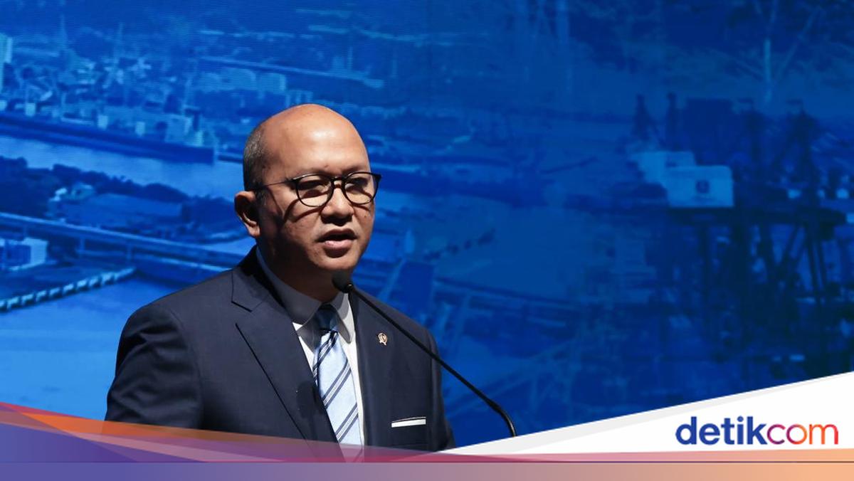 menteri-investasi-dan-hilirisasikepala-bkpm-sekaligus-ceo-danantara-indonesia-rosan-roeslani-1749978000392_169.jpeg